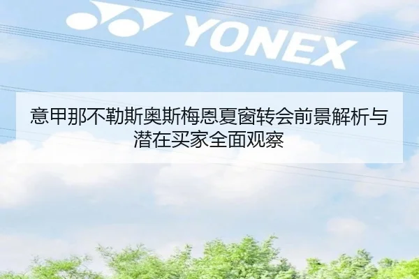意甲那不勒斯奥斯梅恩夏窗转会前景解析与潜在买家全面观察